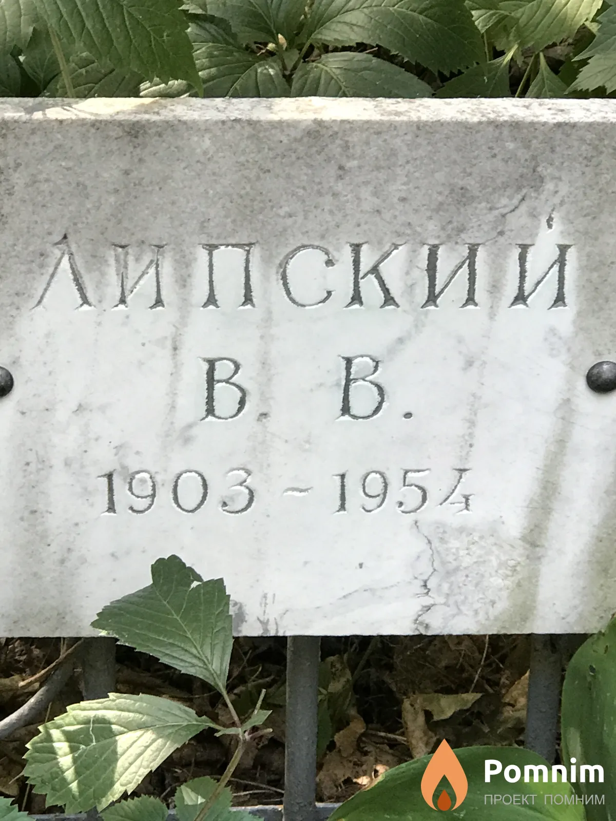 Липский В В