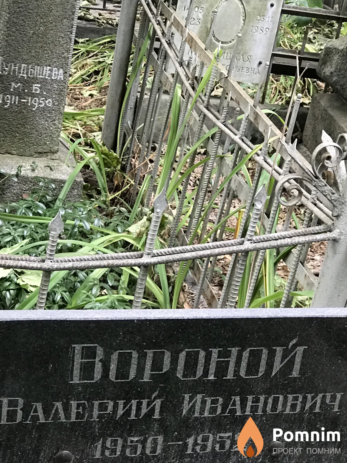 Вороной Валерий Иванович