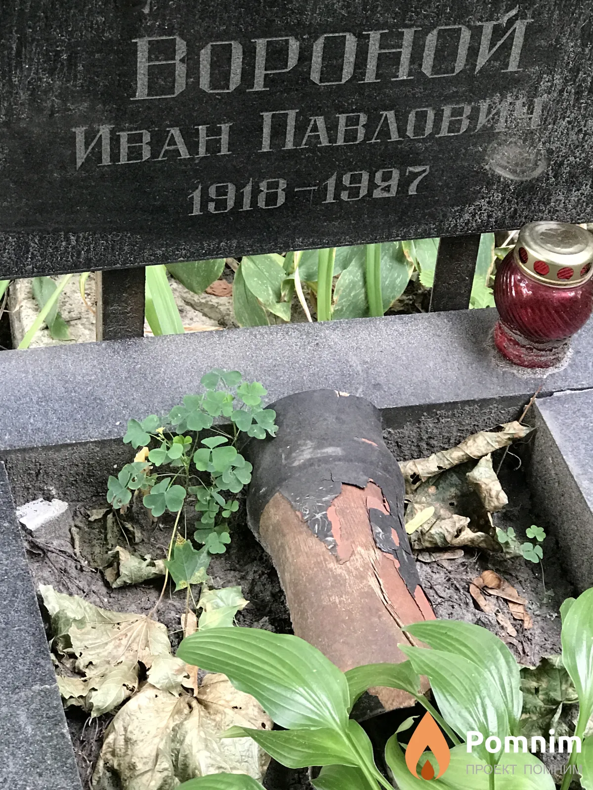 Вороной Иван Павловина