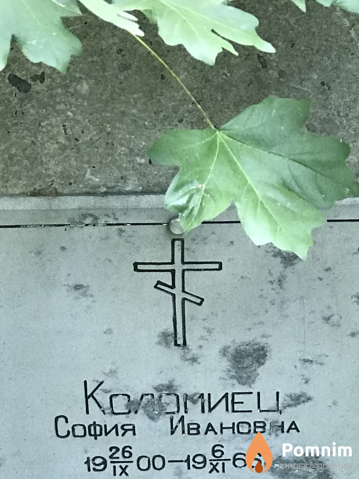 Koломиец София Ивановна