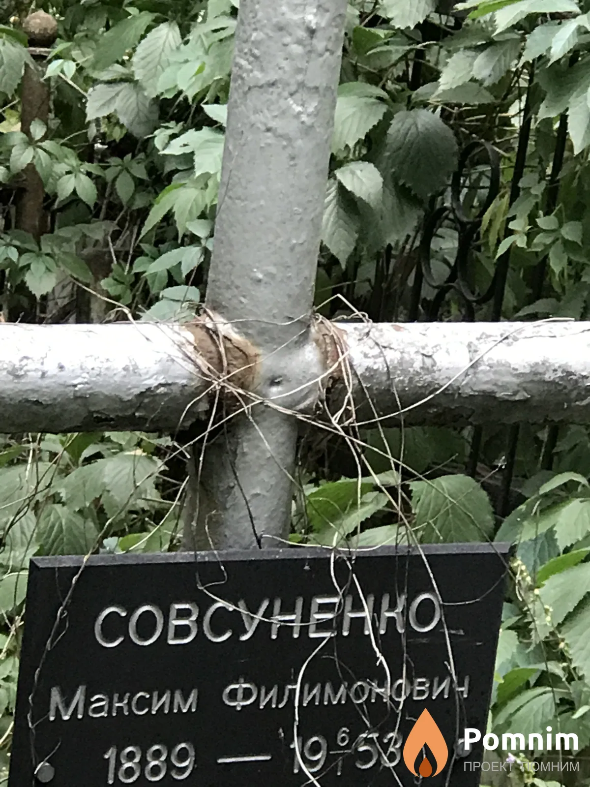 Совсуненко Максим Филимонович