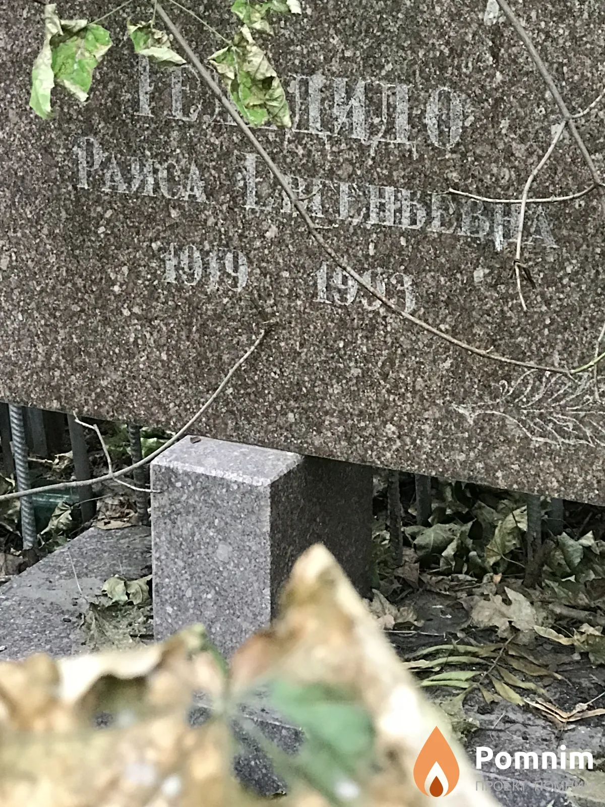 Теледидо Раиса Евгеньевна