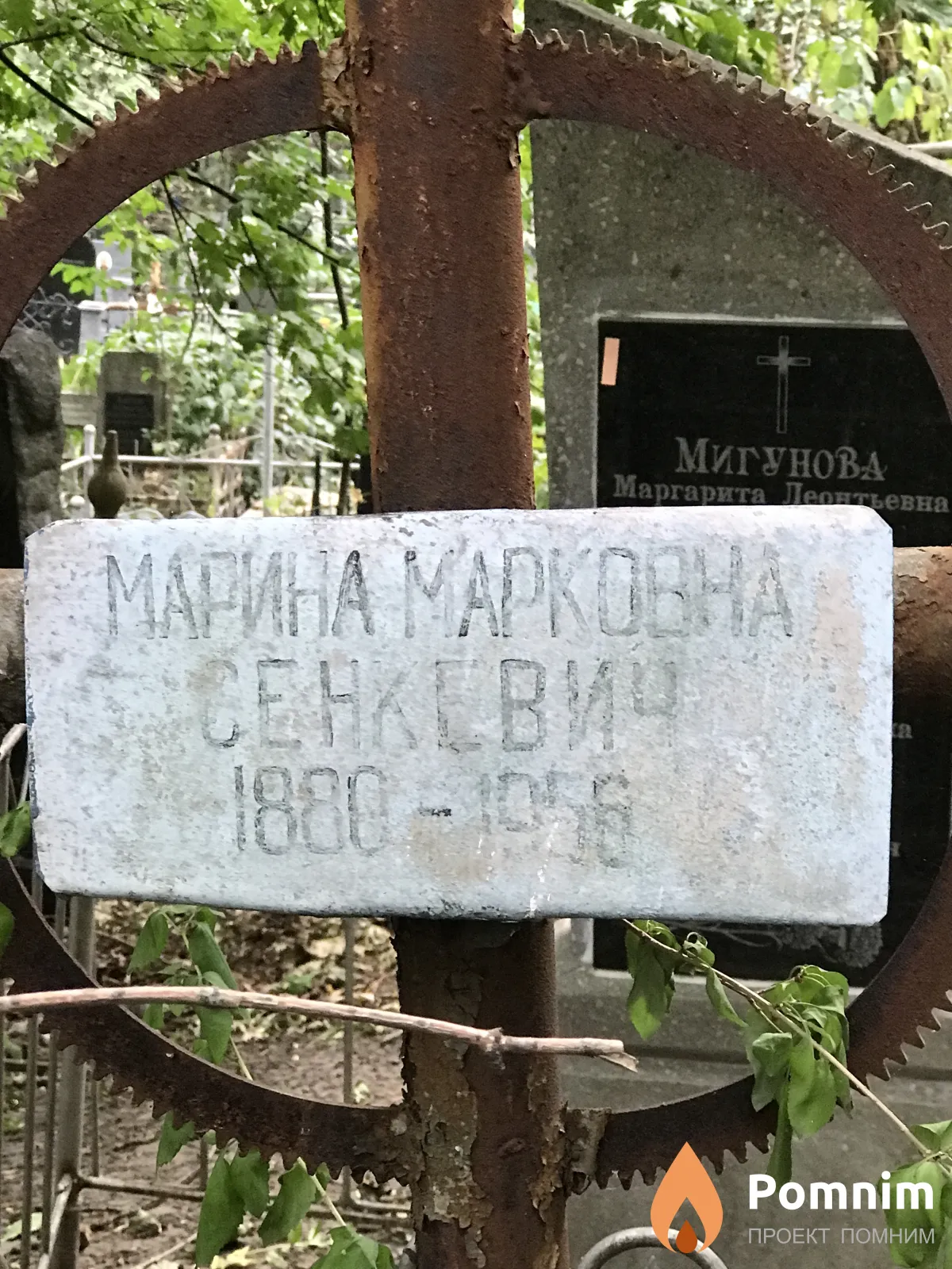 Сенкевич Марина Марковна