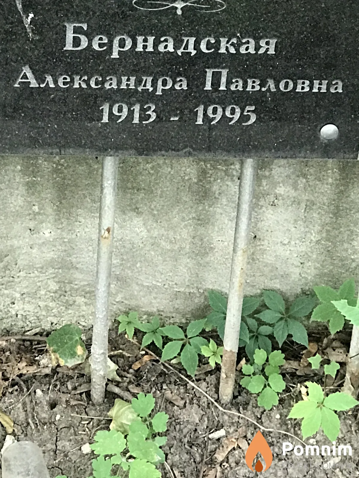 Бернадская Александра Павловна