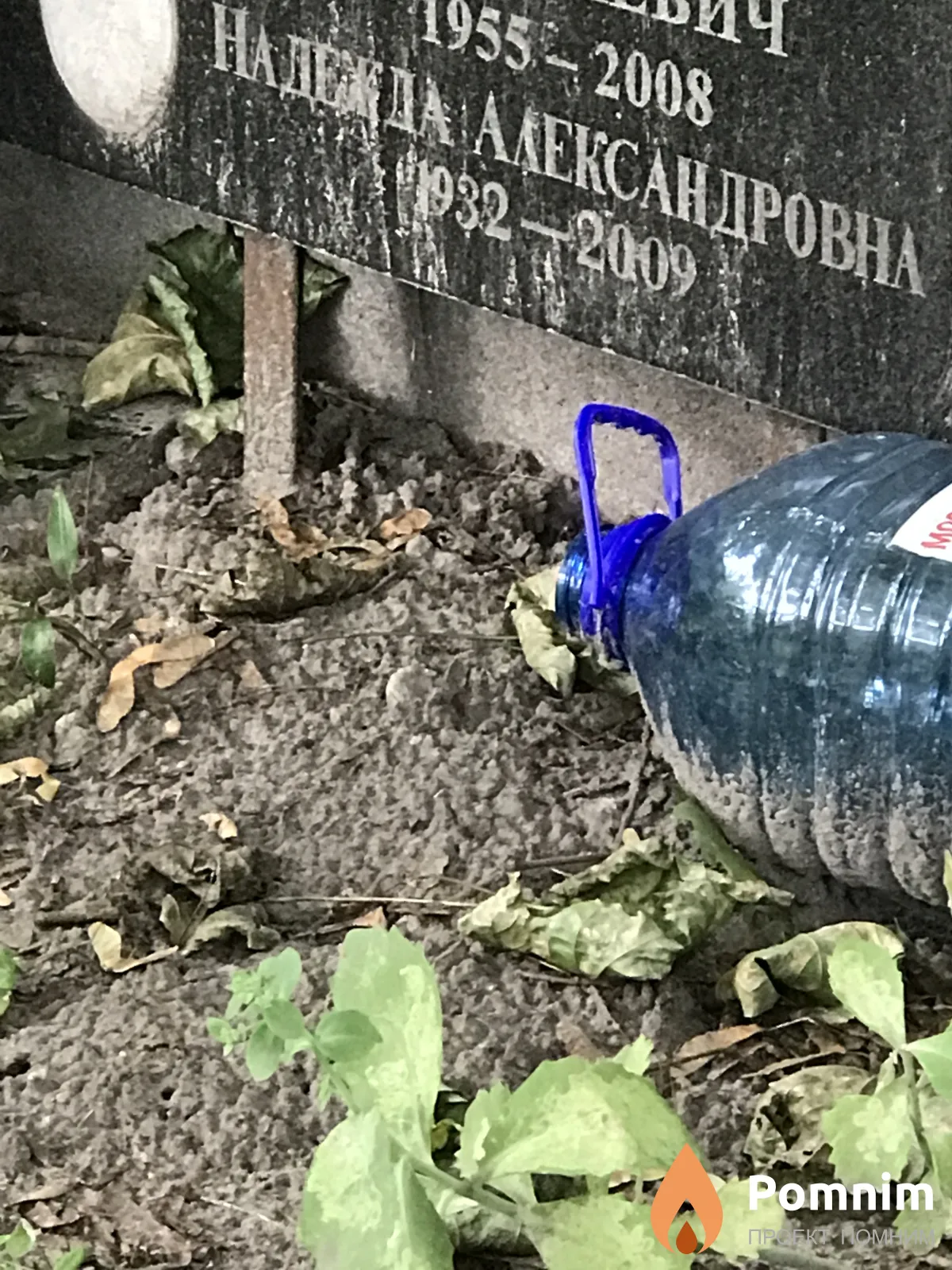 Марченко Надежда Александровна