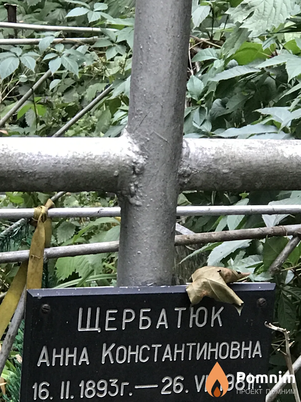 Щербатюк Анна Константиновна