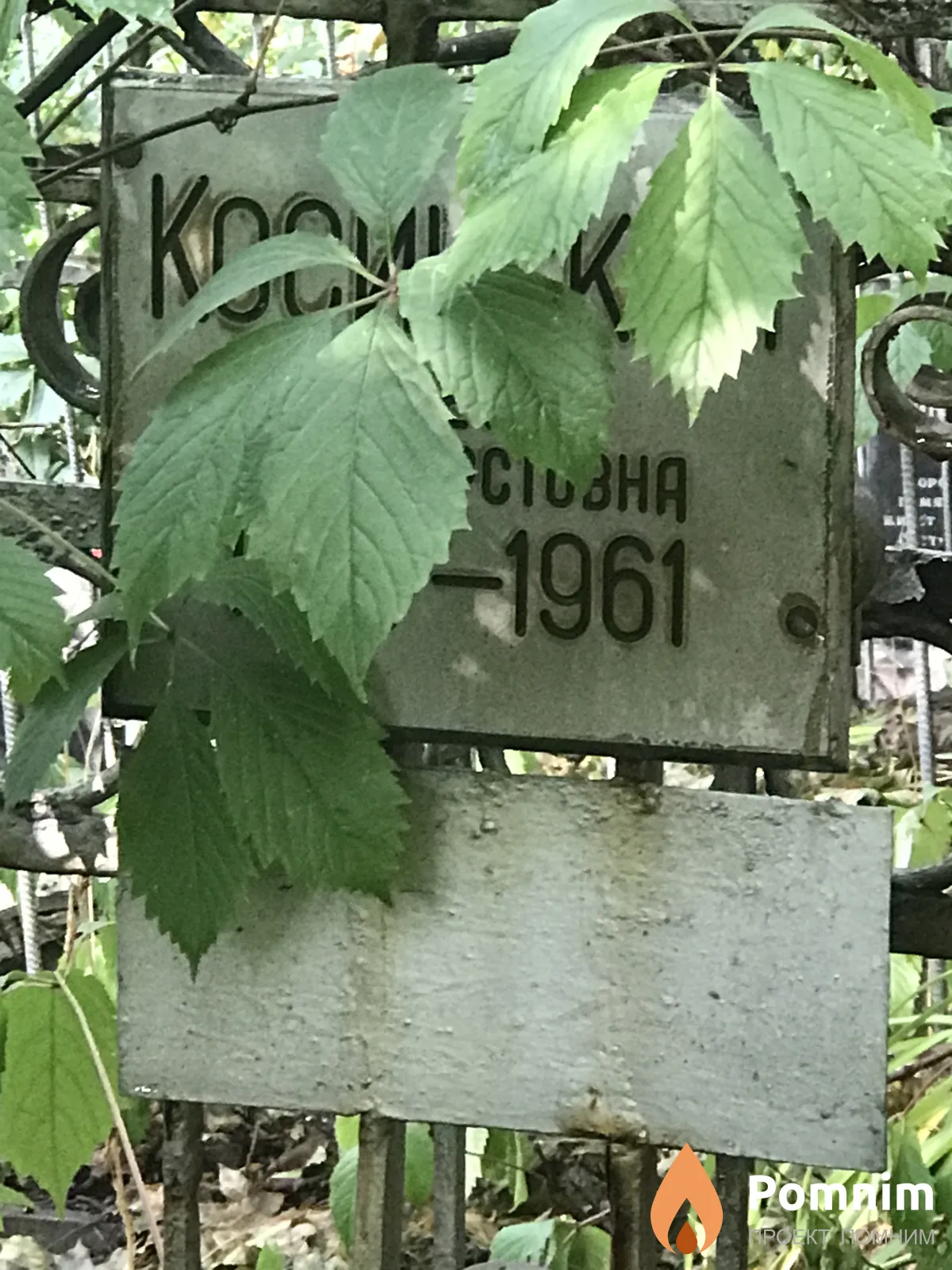 Косинская Елена Сильвестровна