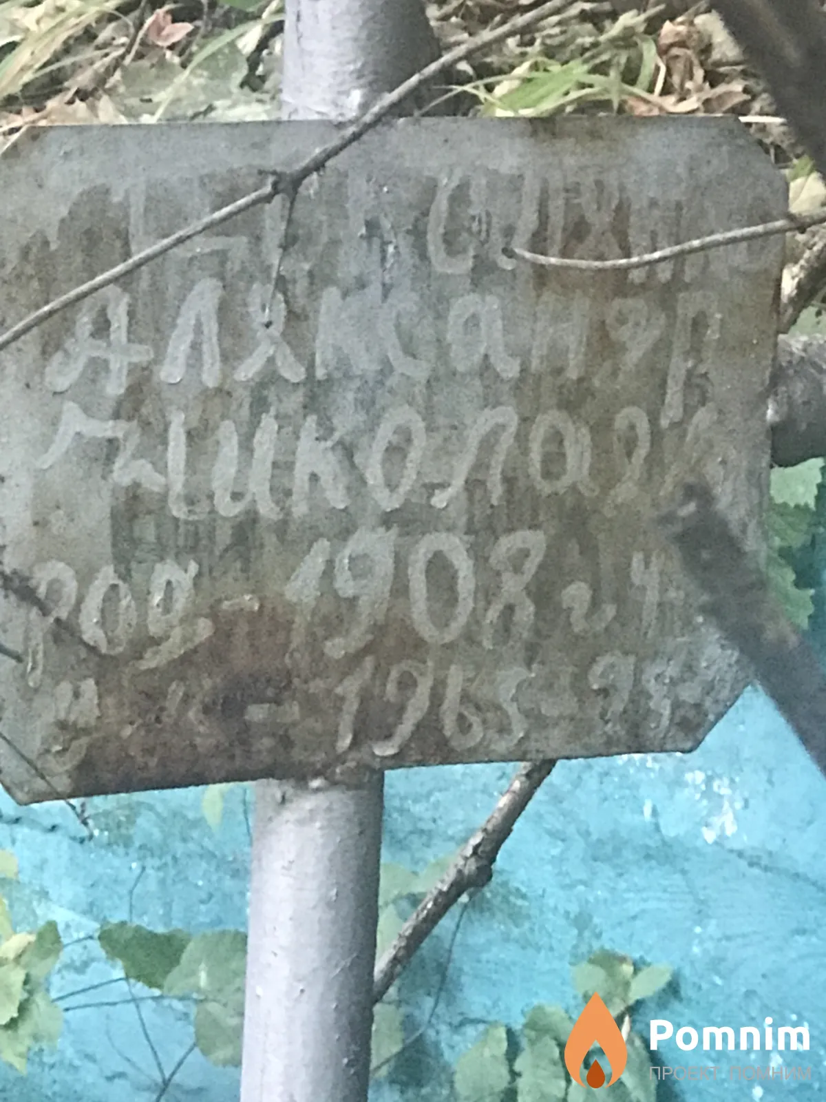 Цоколянко Александр Николаевич