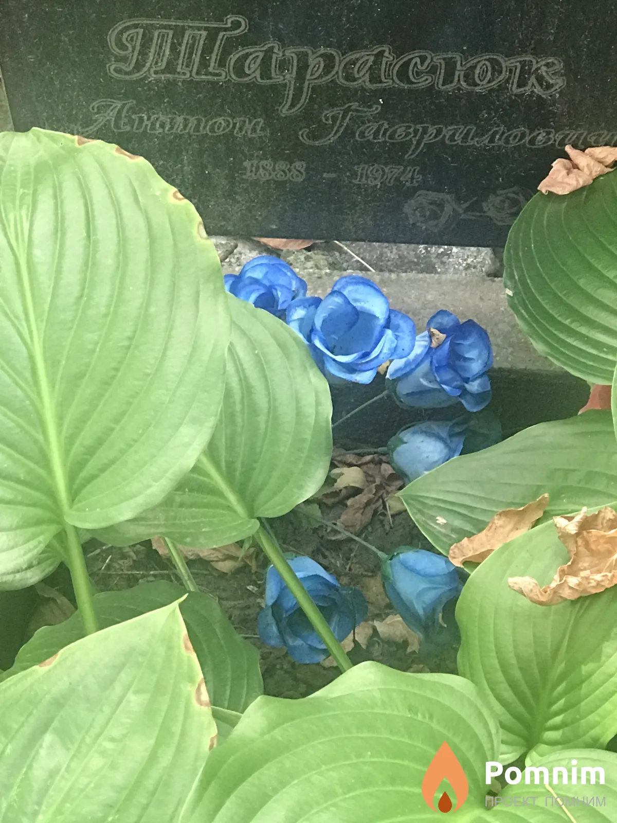 Тарасюк Антон Гаврилович