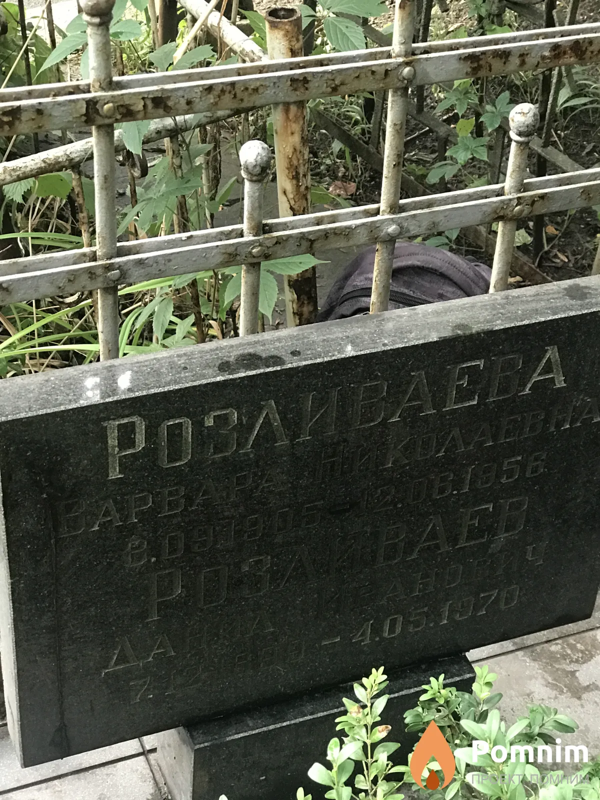 Розливаева Варвара Николаевна