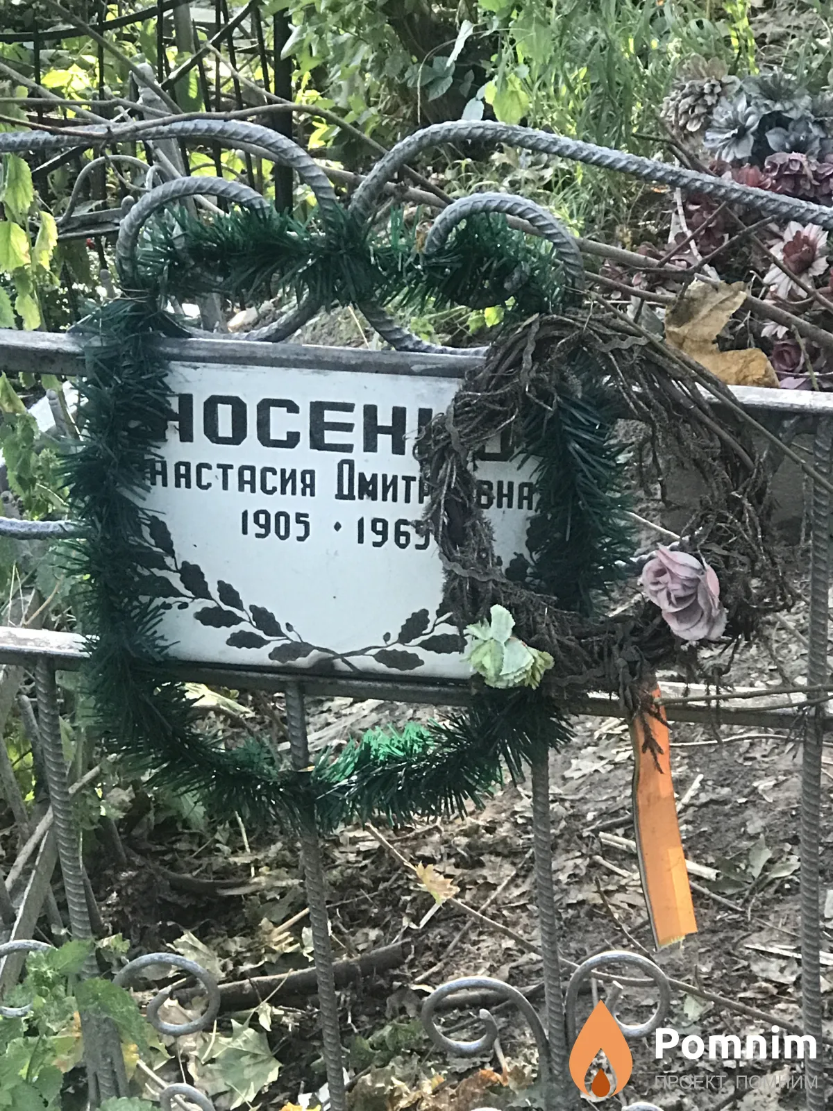 Носенко Анастасия Дмитриевна