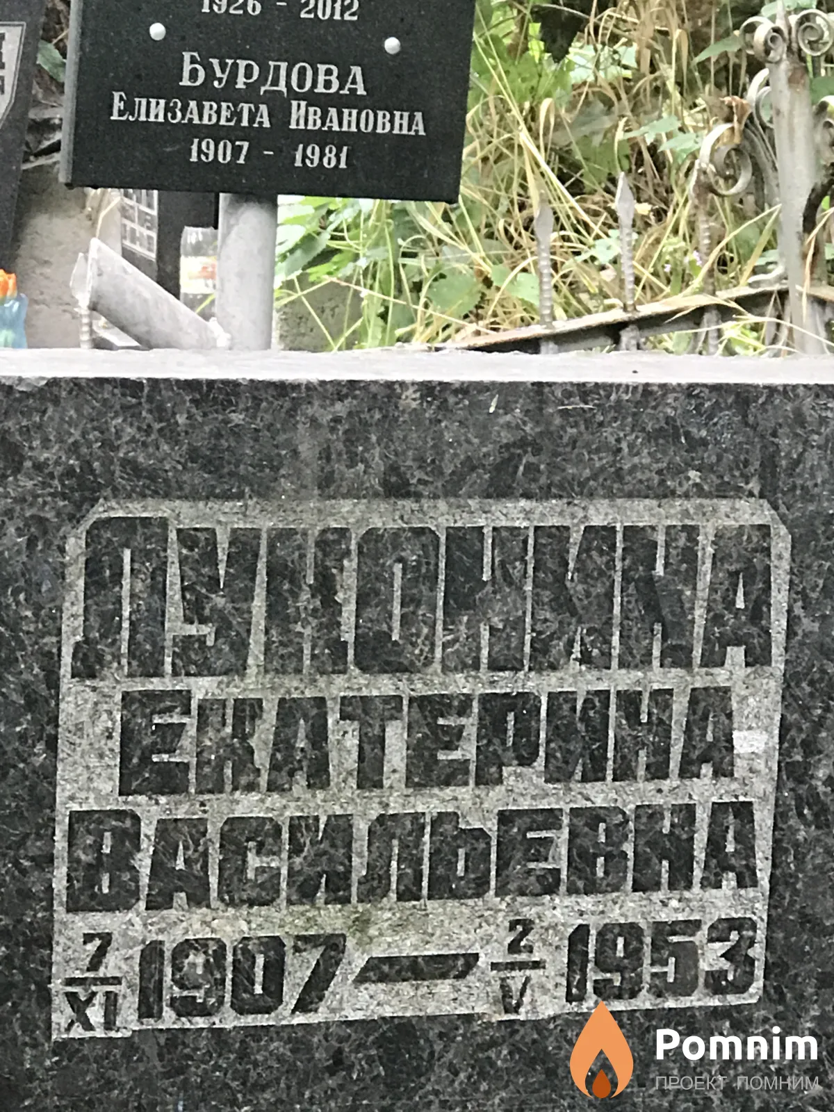 Луконина Екатерина Васильевна