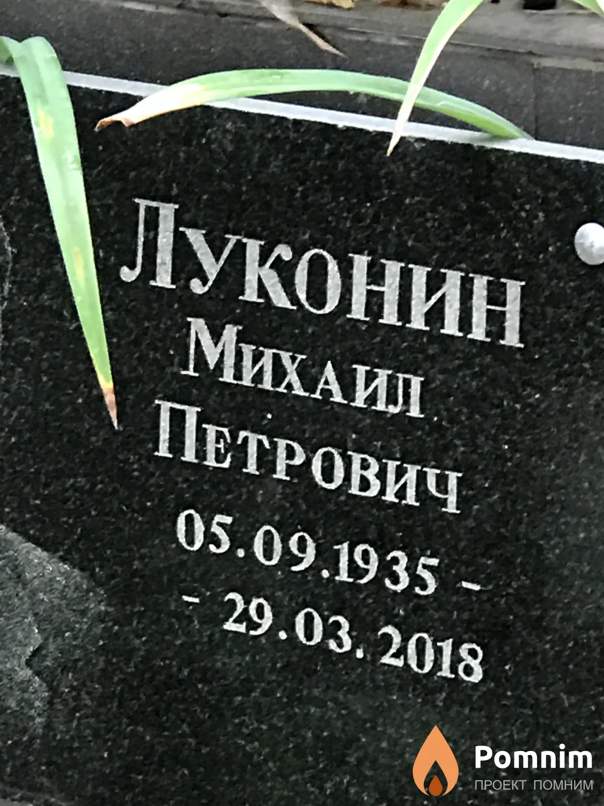 Луконин Михаил Петрович