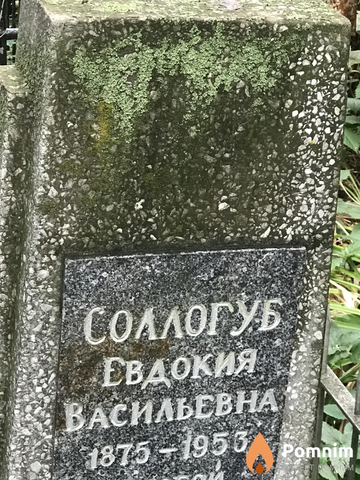 Соллогуб Евдокия Васильевна