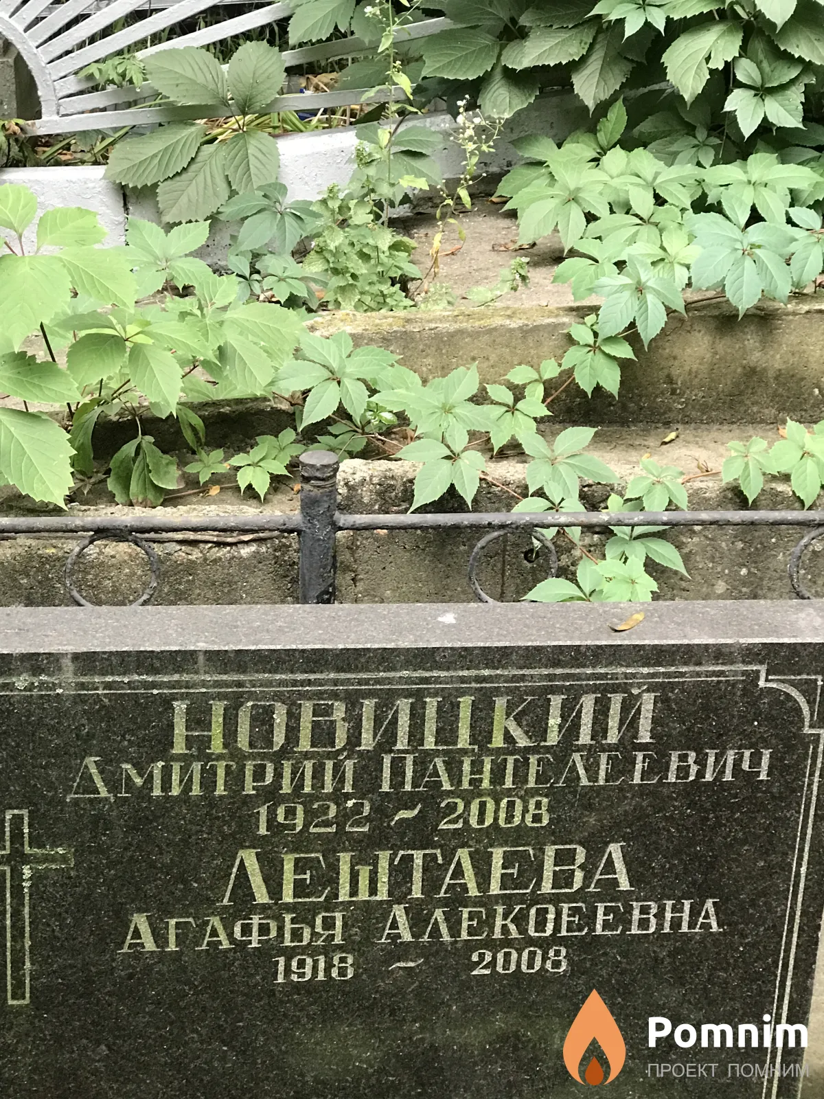 Новицкий Дмитрий Пантелеевич