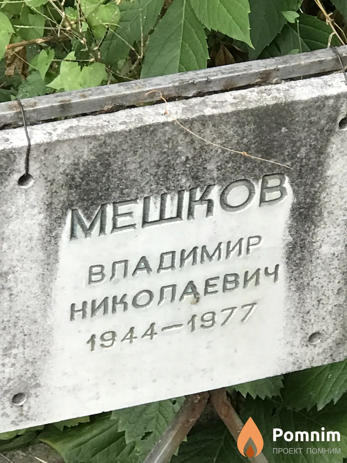 Мешков Владимир Николаевич
