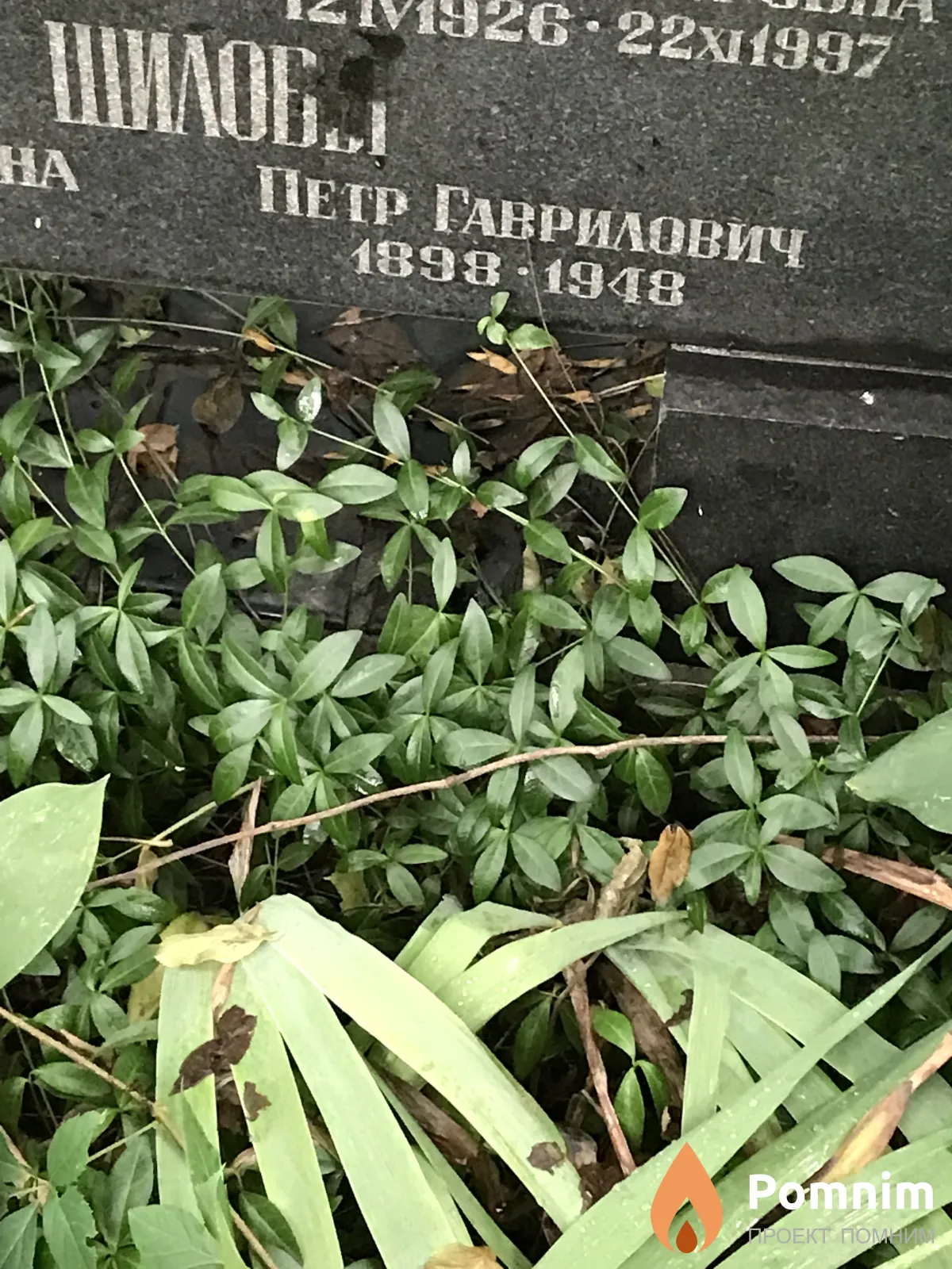 Шилов Петр Гаврилович