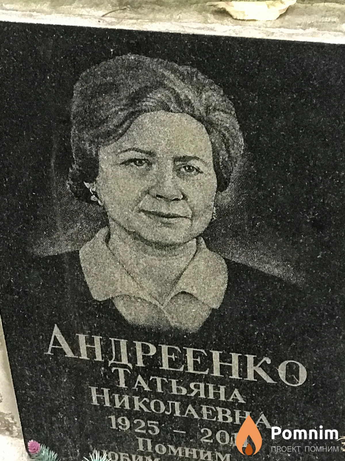 Андреенко Татьяна Николаевна