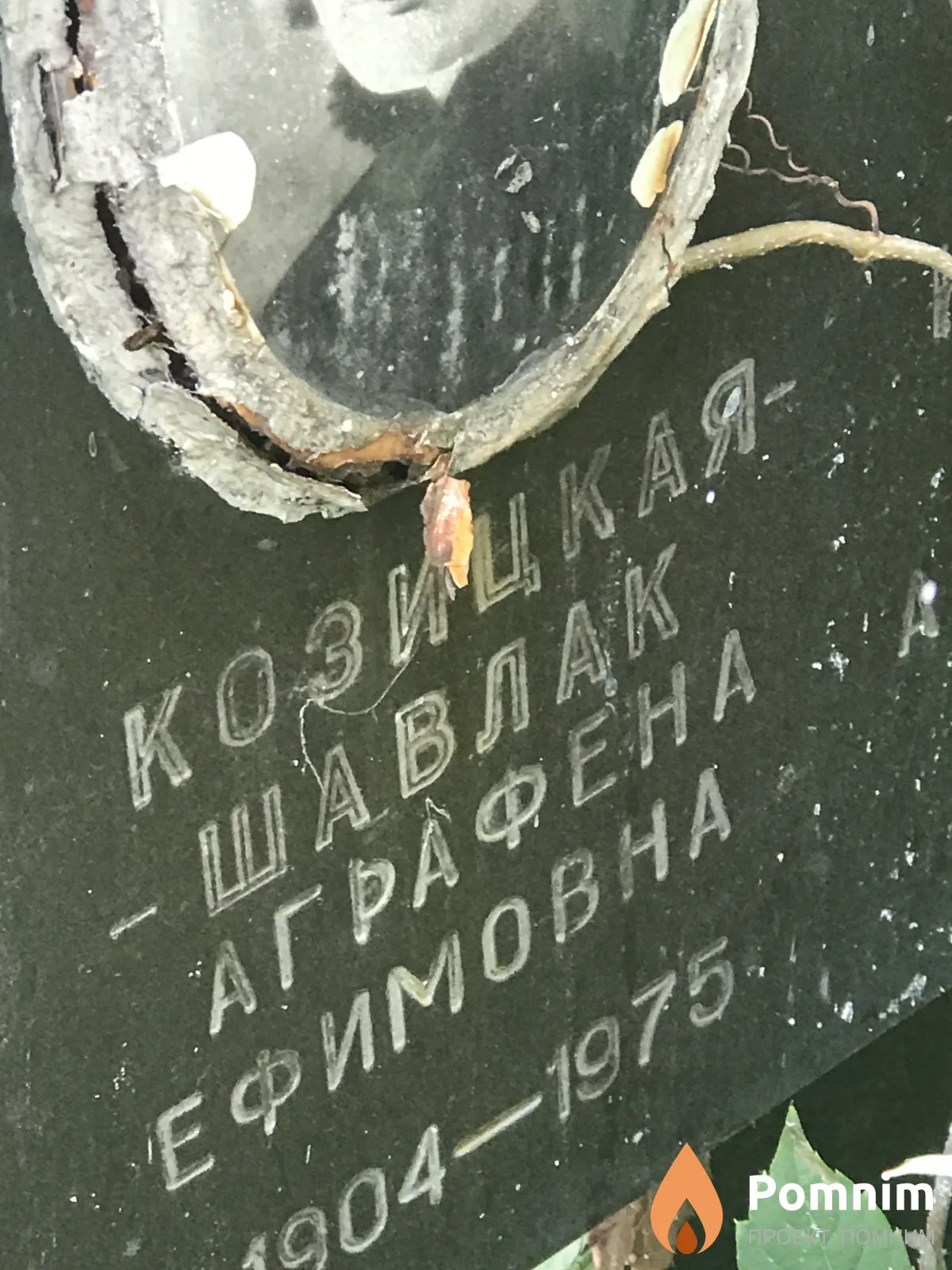 Козицкая-Шавлак Аграфена Ефимовна