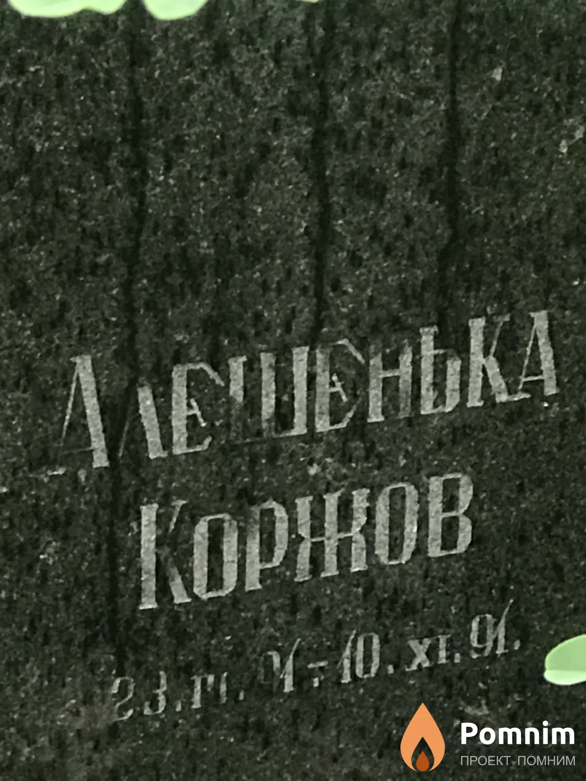 Коржов Алексей