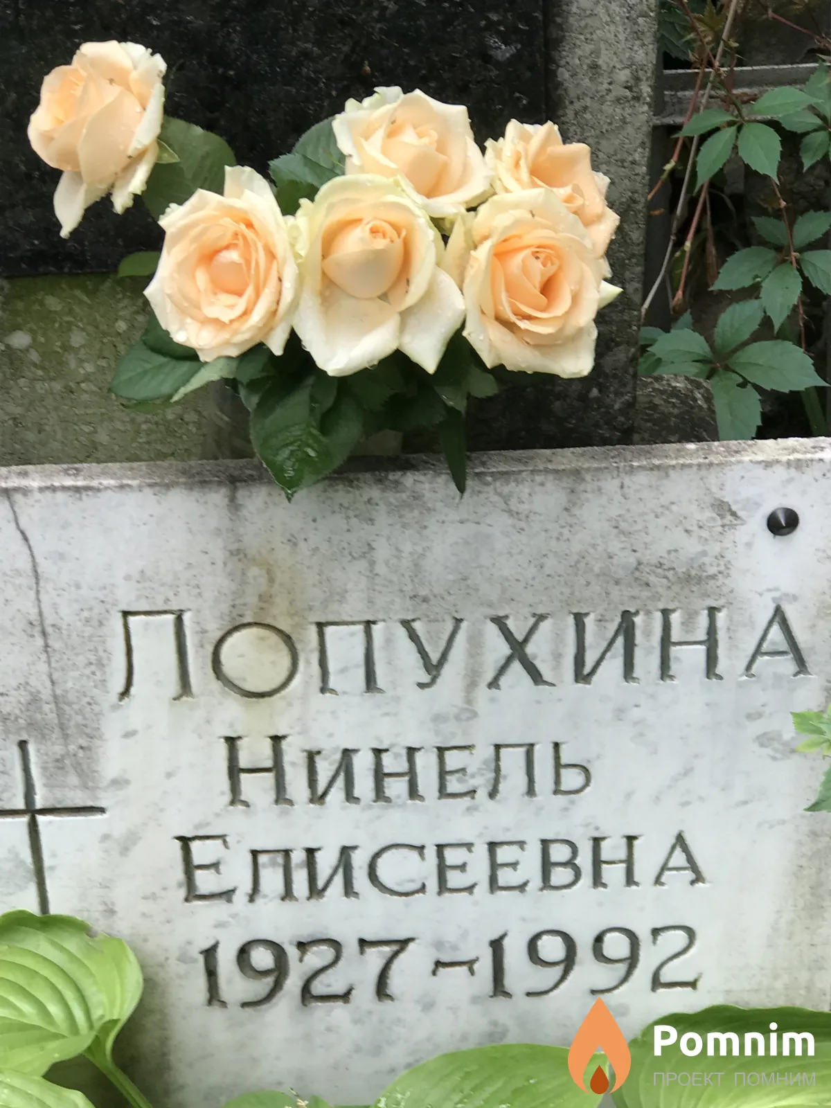 Лопухина Нинель Елисеевна