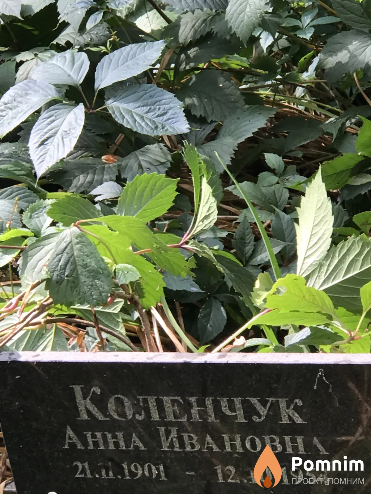 Коленчук Анна Ивановна