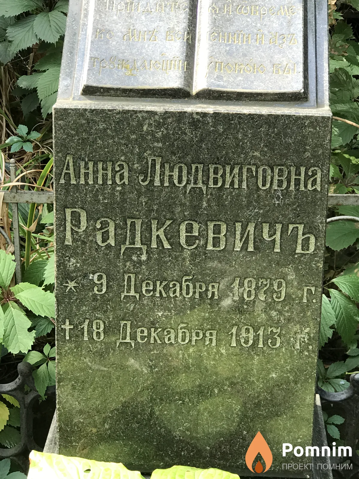 Радкевичь Анна Людвиговна