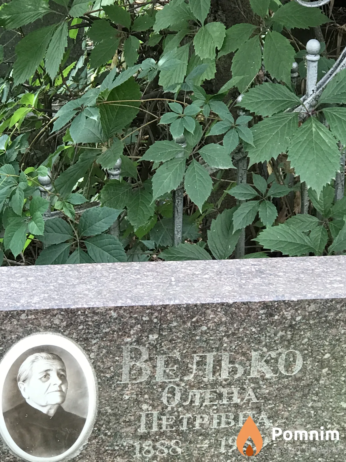 Велько Алена Петровна
