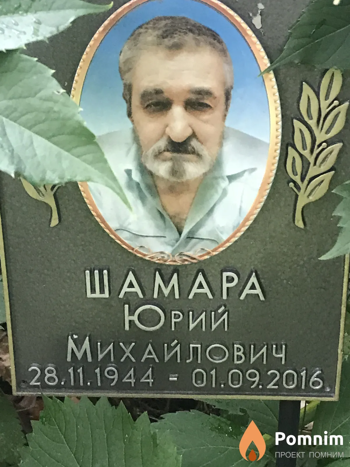 Шамара Юрий Михайлович