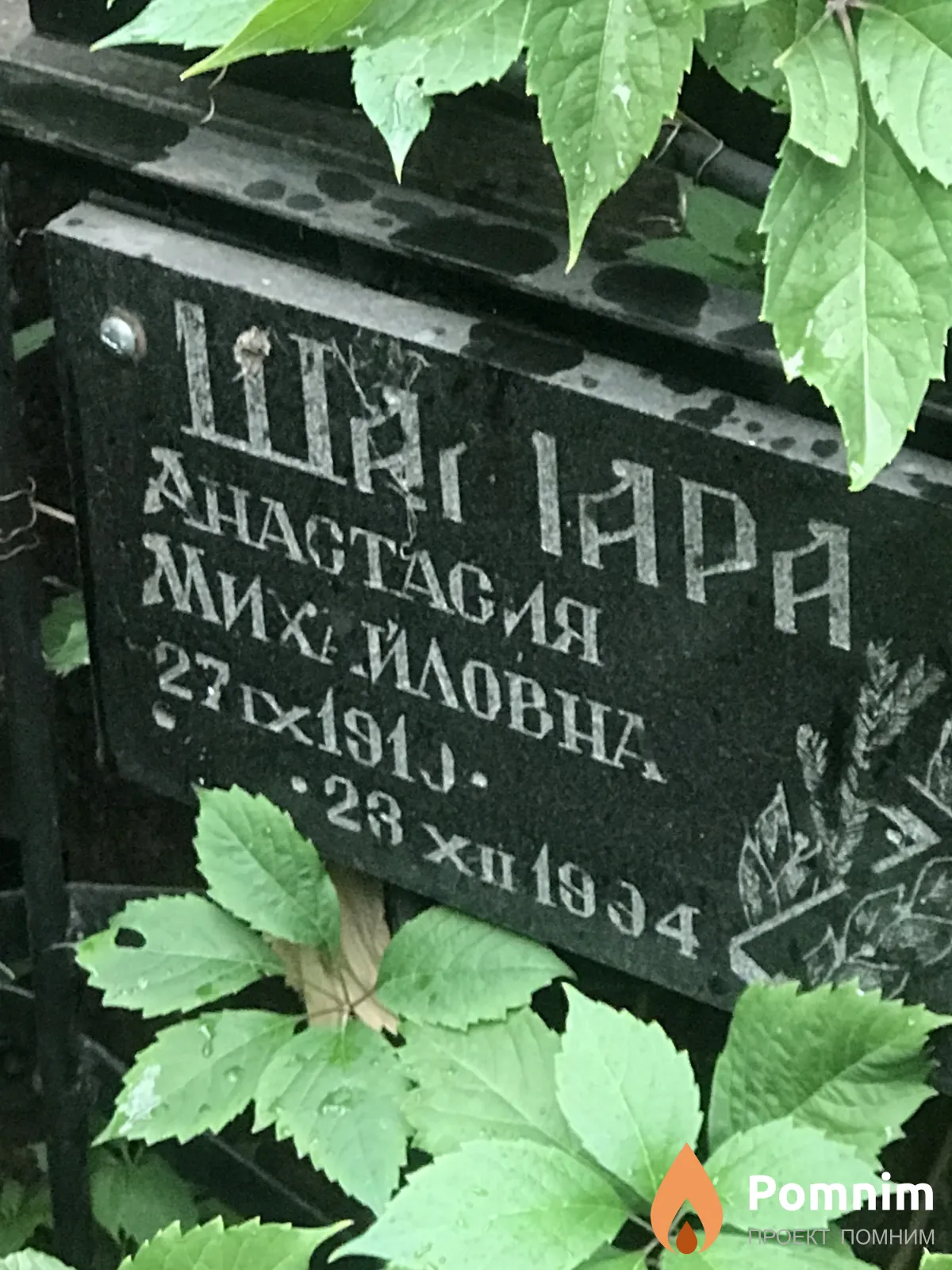 Шамара Анастасия Михайловна