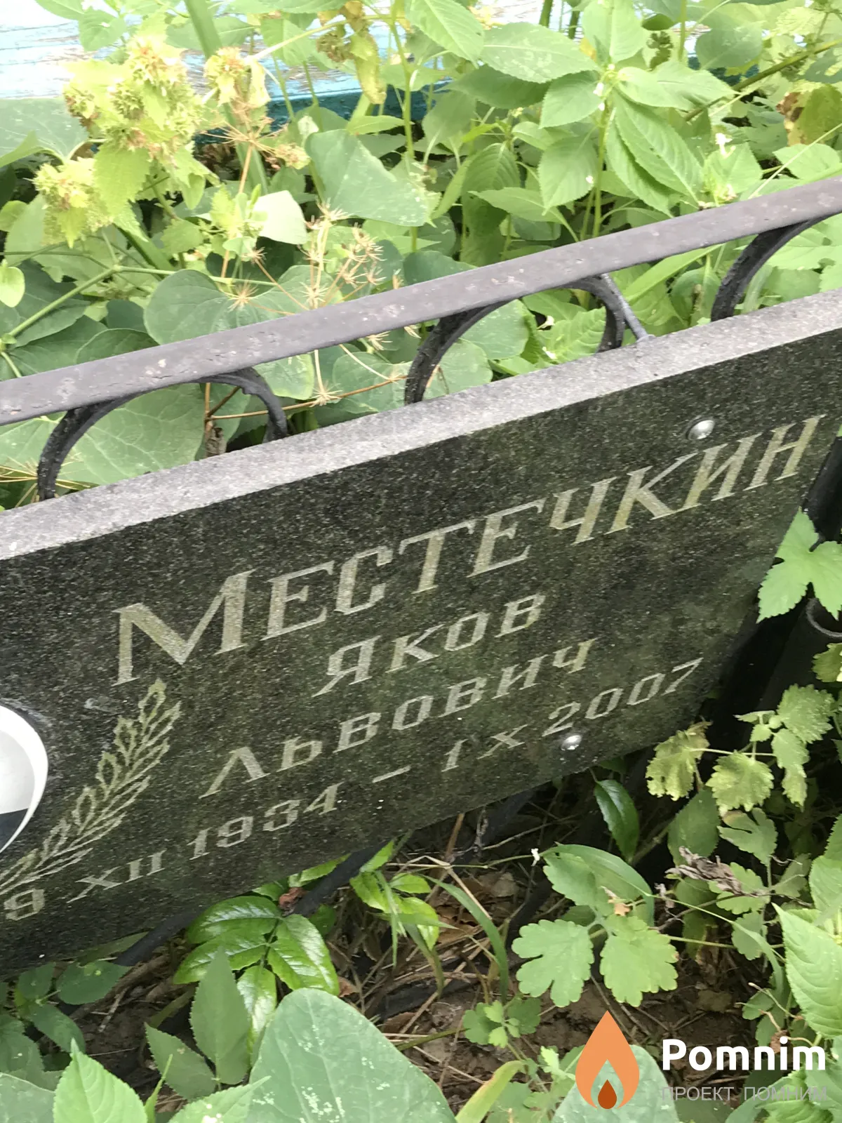 Местечкин Яков Львович