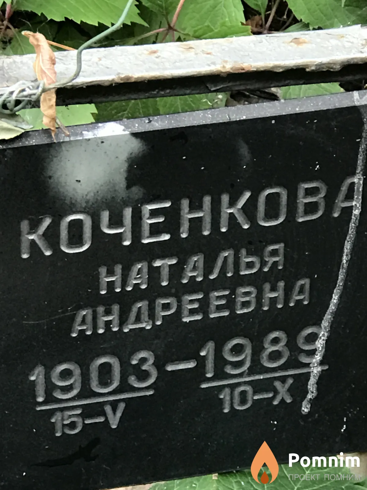 Коченкова Наталья Андреевна