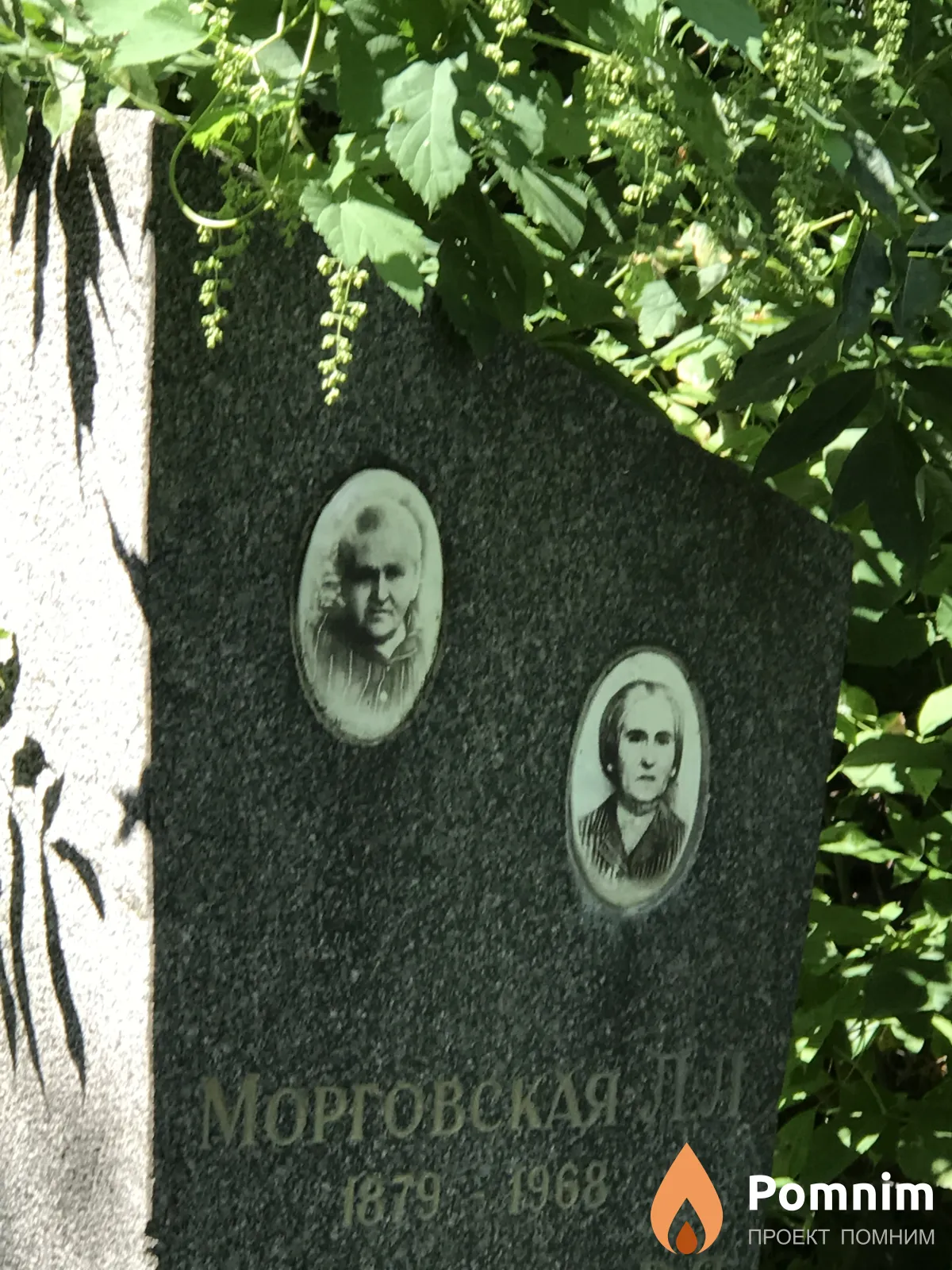 Морговская Л Л