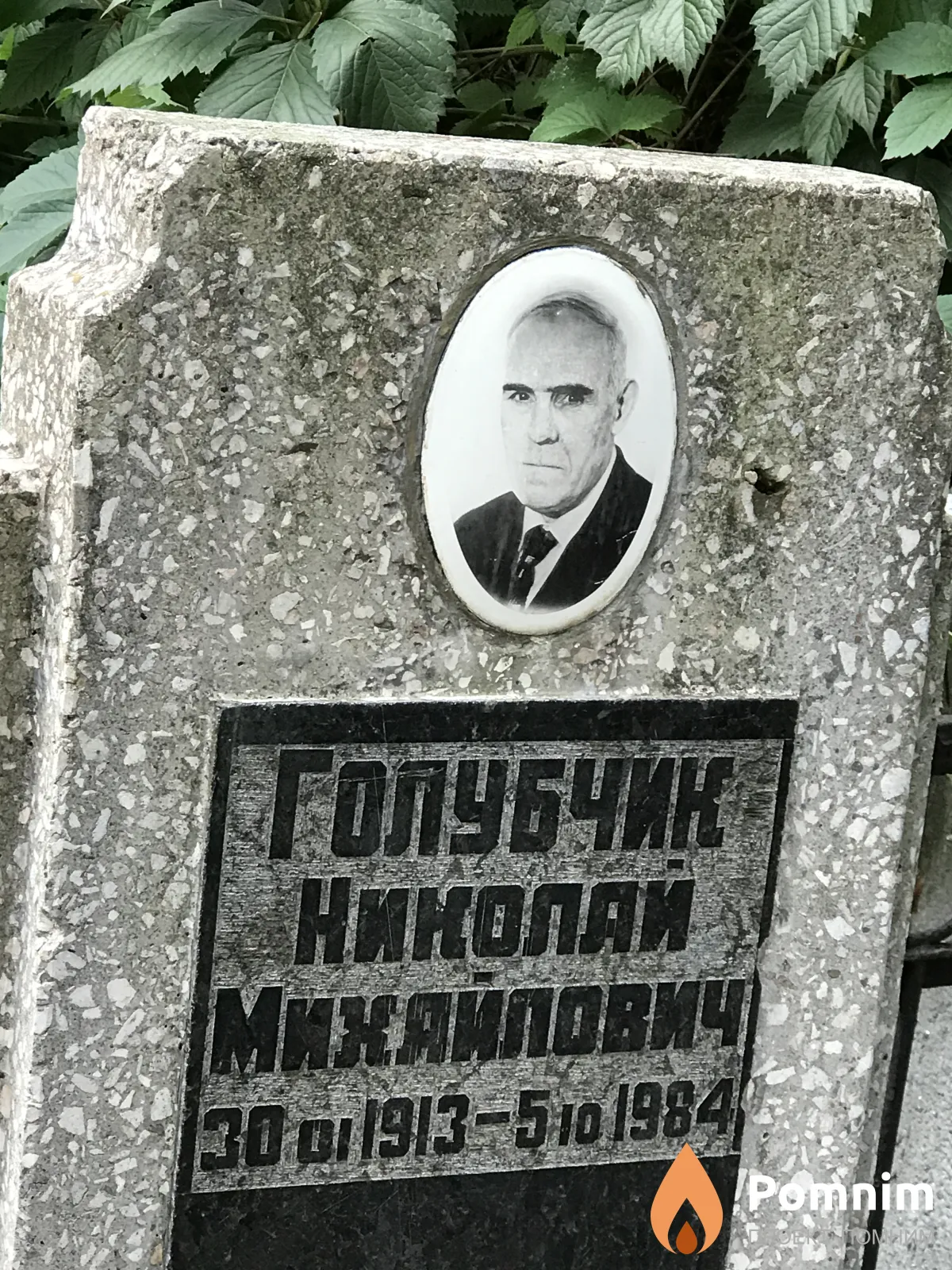 Голубчик Николай Михайлович