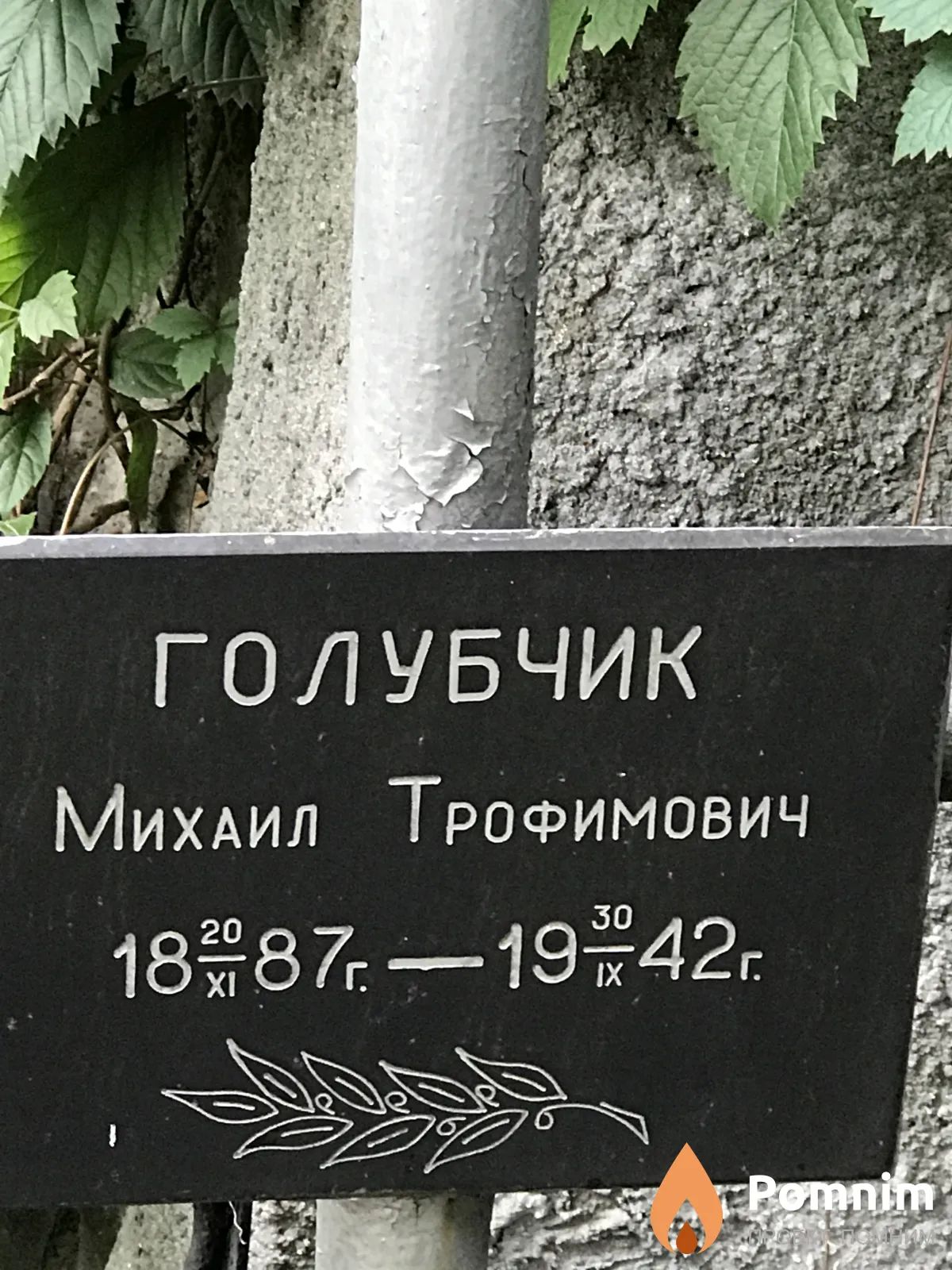Голубчик Михаил Трофимович