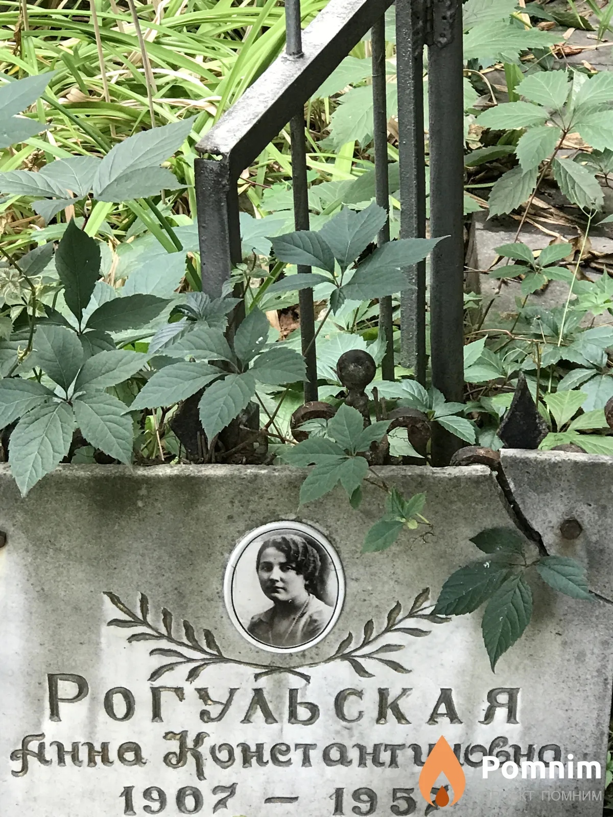 Рогульская Анна Константиновна