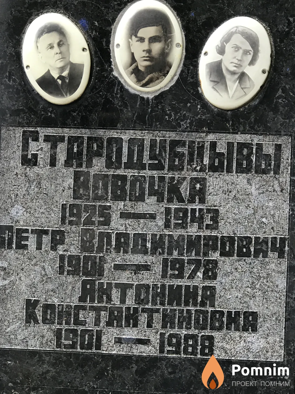 Стародубцев Пётр Владимирович