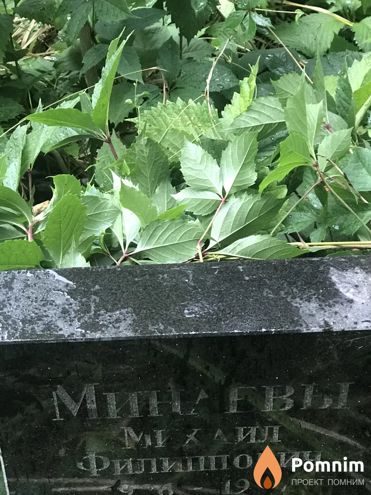 Минаев Михаил Филиппович
