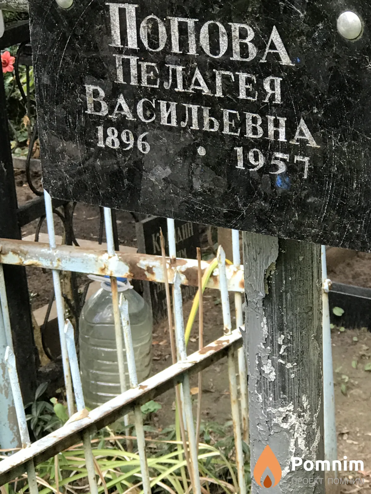 Попова Пелагея Васильевна