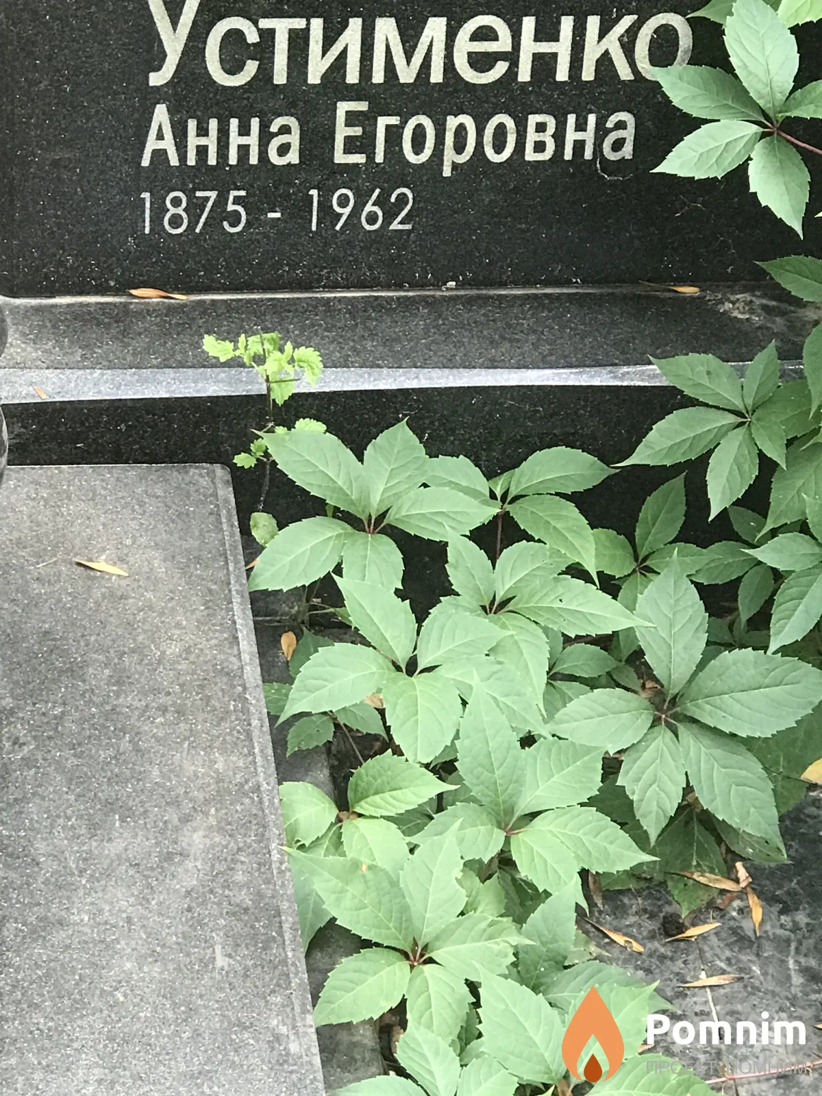 Устименко Анна Егоровна