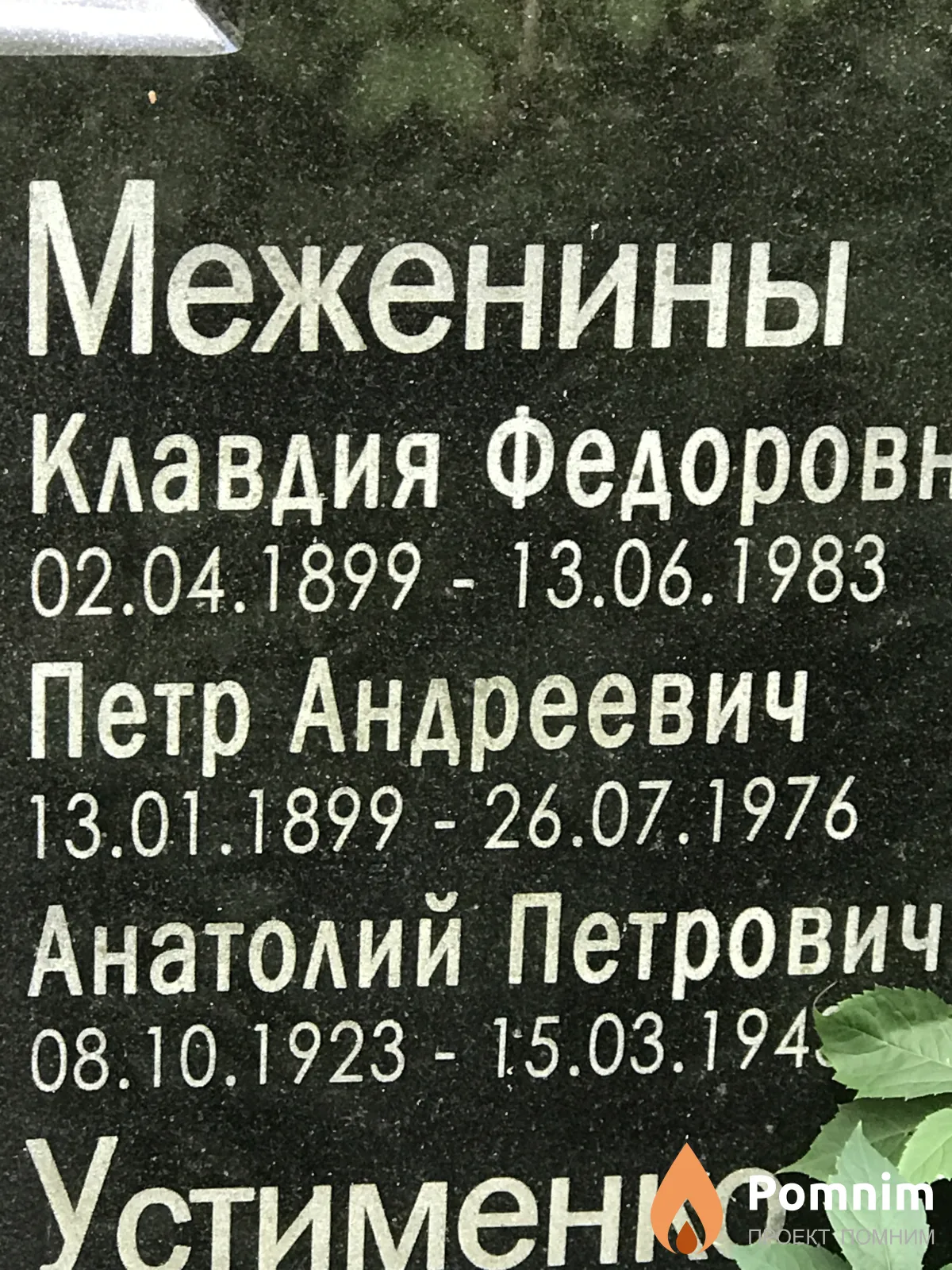 Меженин Анатолий Петрович