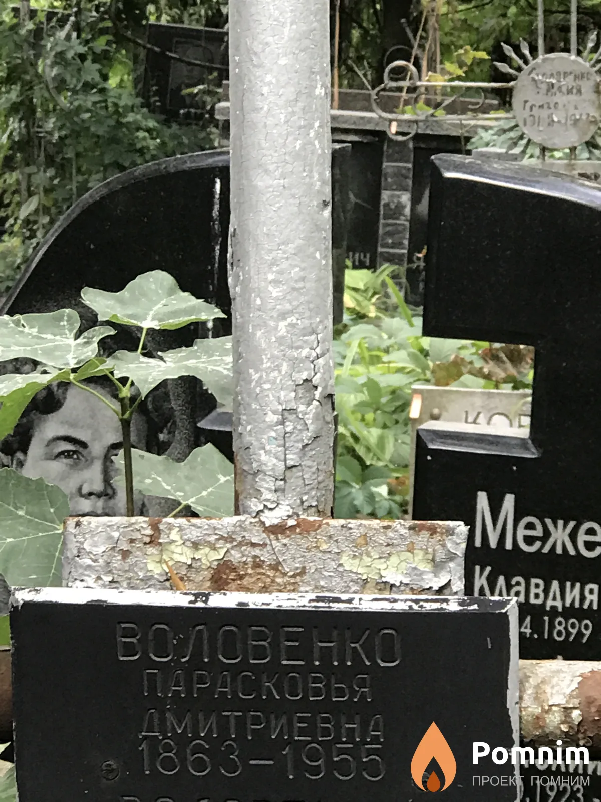 Boловенко Парасковья Дмитриевна