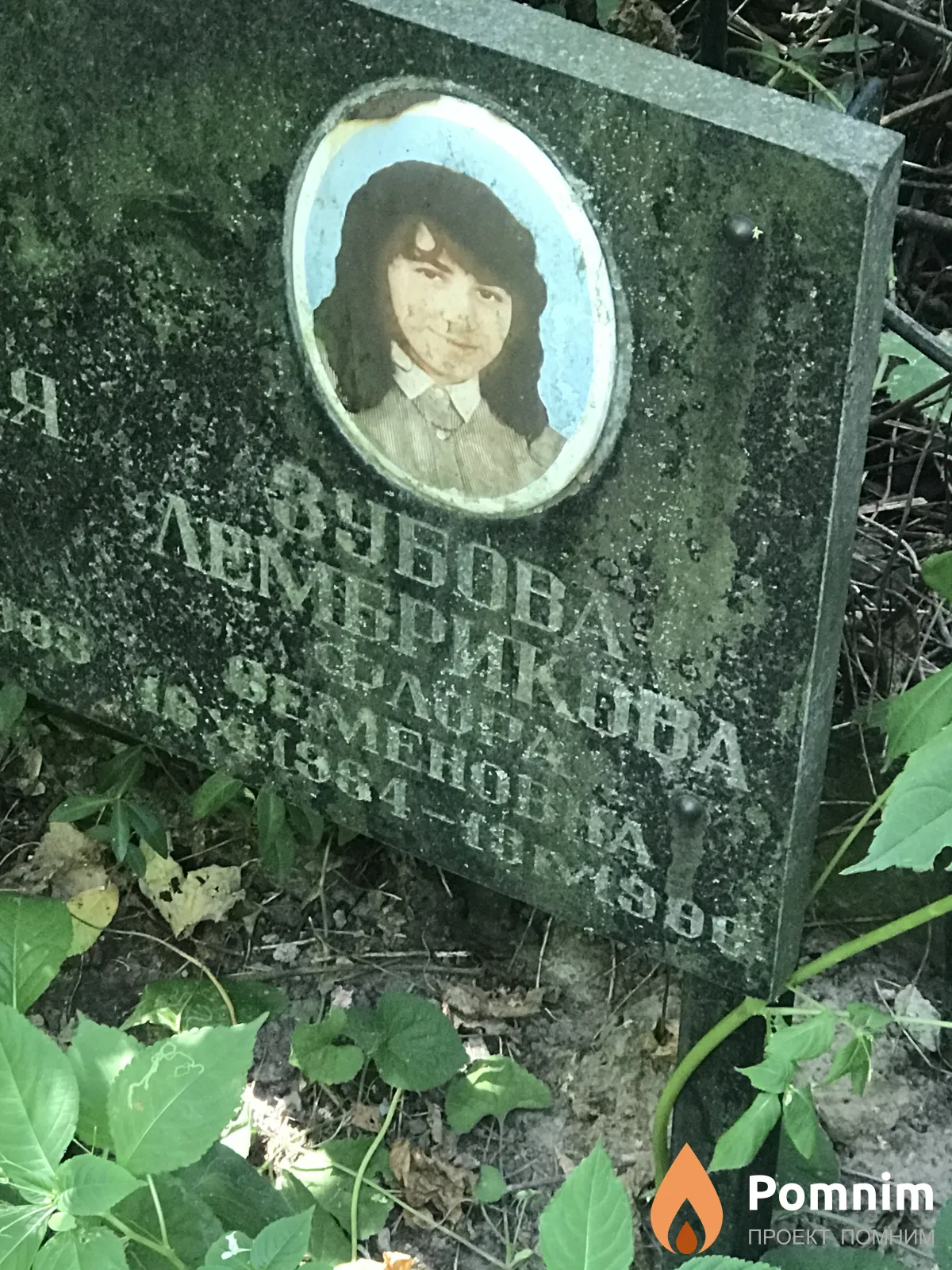 Зубов Лембоикова Флора