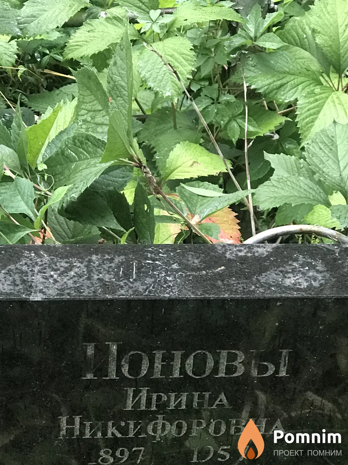 Ионова Ирина Никифоровна