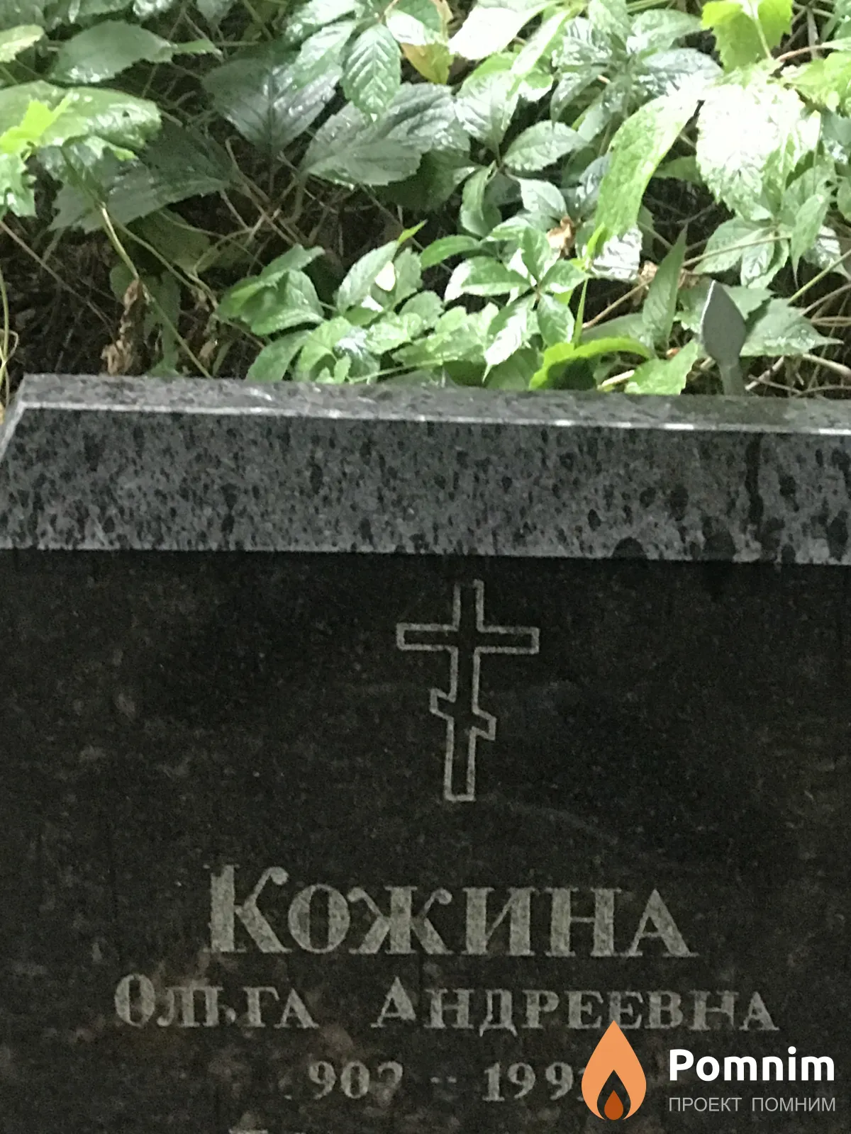 Кожина Ольга Андреевна