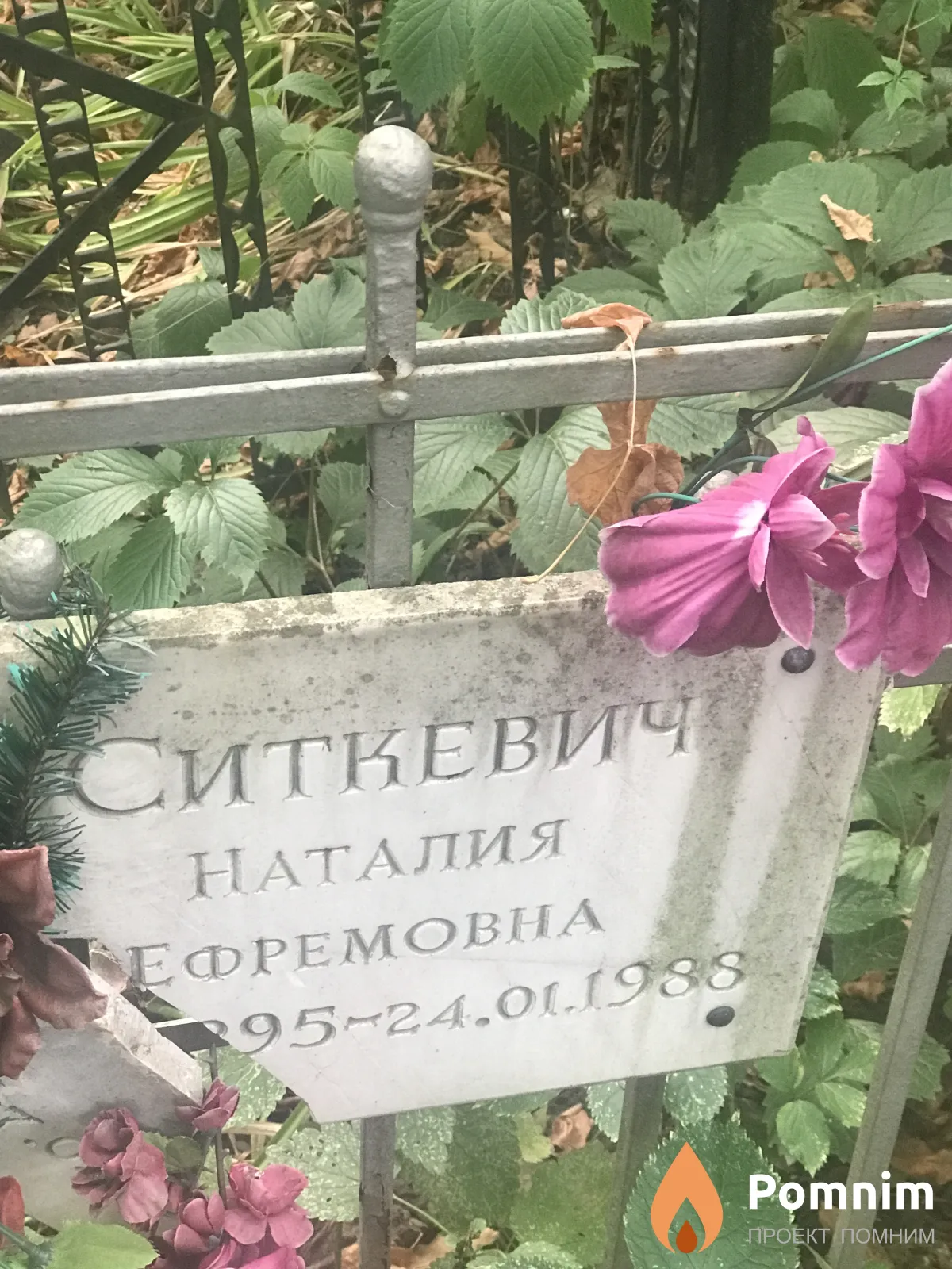 Ситкевич Наталия Ефремовна