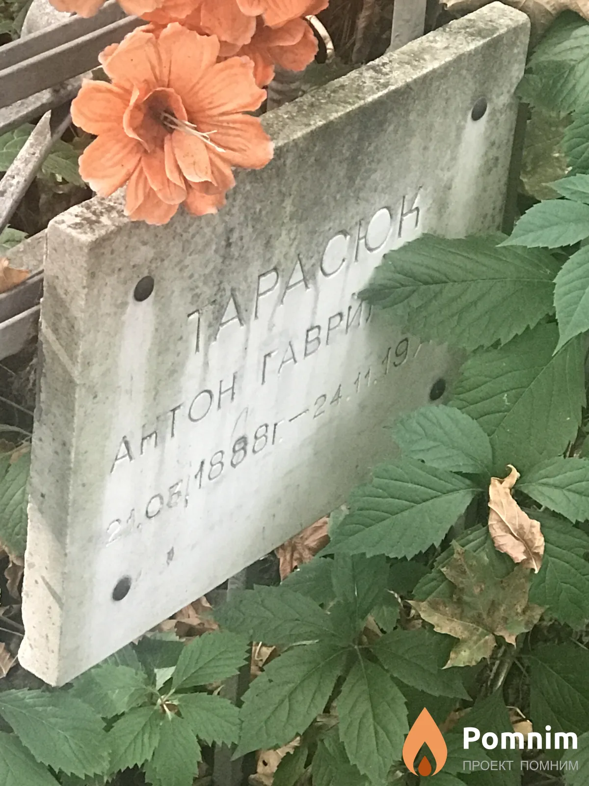 Тарасюк Антон Гаврилович