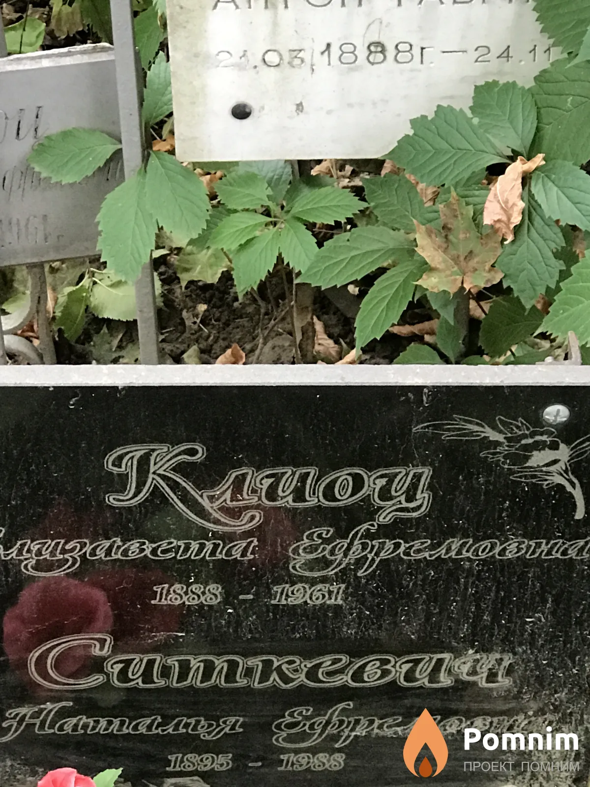Ситкевич Наталия Ефремовна