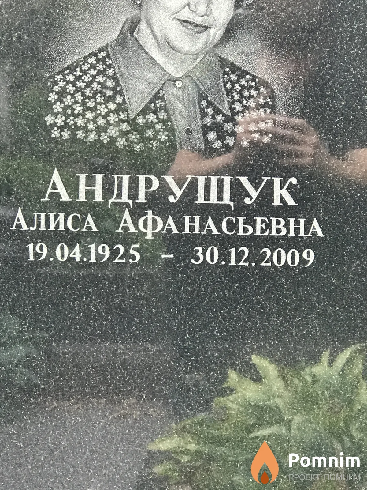 Андрущук Алиса Афанасьевна