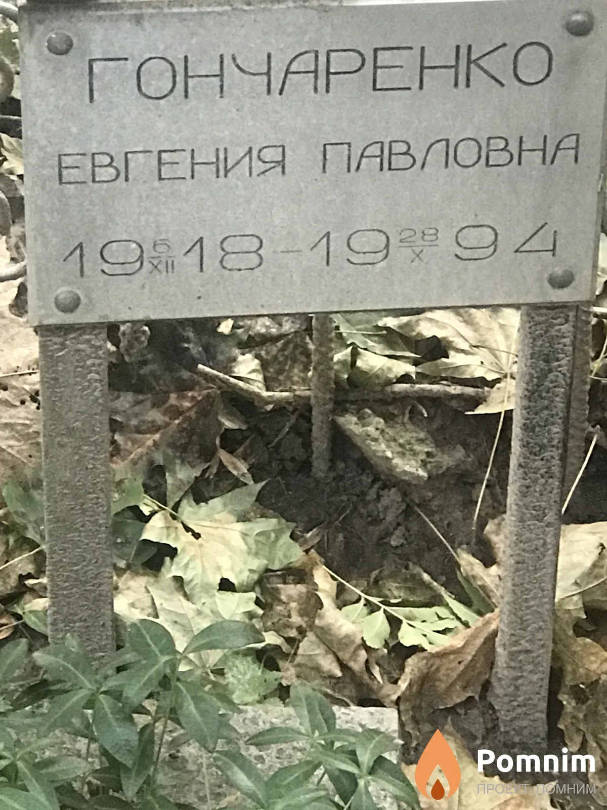 Гончаренко Евгения Павловна